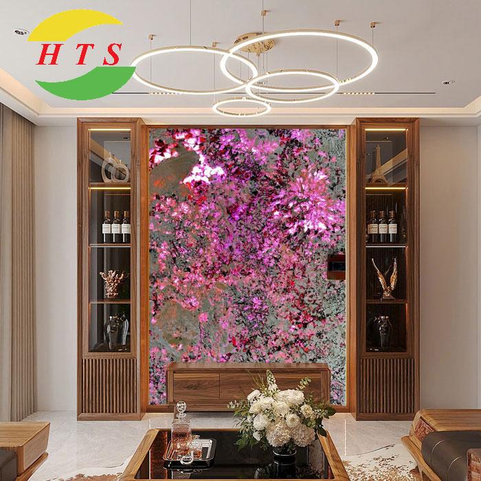 tranh đấ xuyên sáng